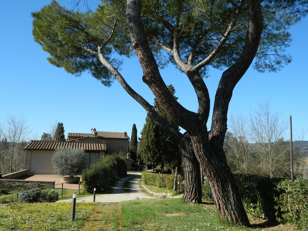 سان جيمينيانو La Castellaccia المظهر الخارجي الصورة